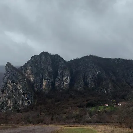 Apartmán Golemi Kamik Vlasi 4 *