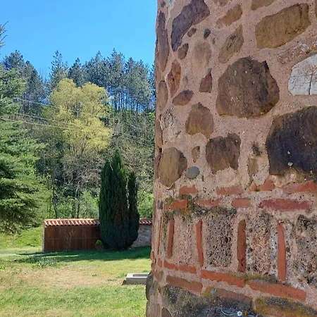 Golemi Kamik Vlasi 4 Pirot