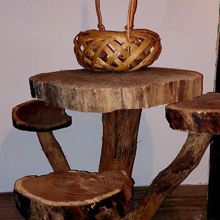 Golemi Kamik Vlasi 4 פירוט