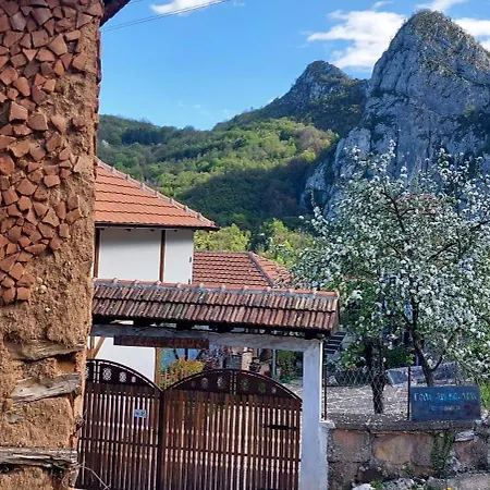 Golemi Kamik Vlasi 4 * Pirot