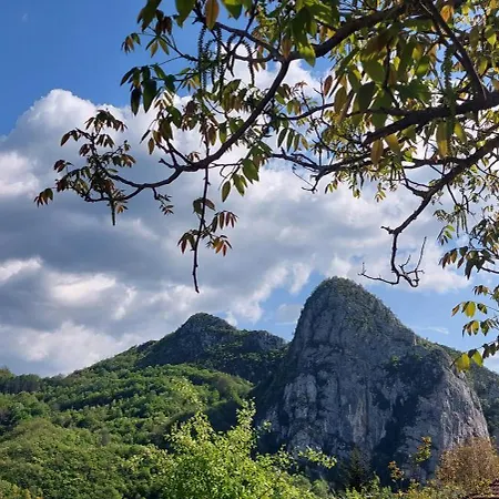 Golemi Kamik Vlasi 4 Pirot