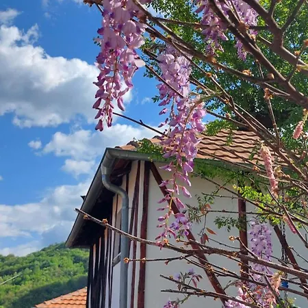 Golemi Kamik Vlasi 4 Apartmán *