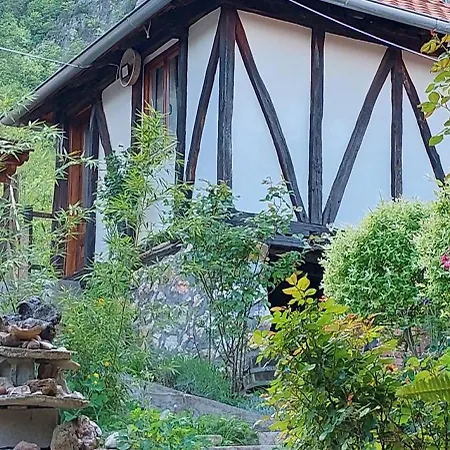 Apartmán Golemi Kamik Vlasi 4