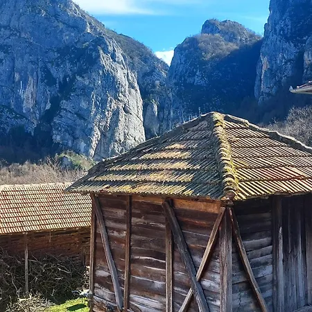 Golemi Kamik Vlasi 4 *