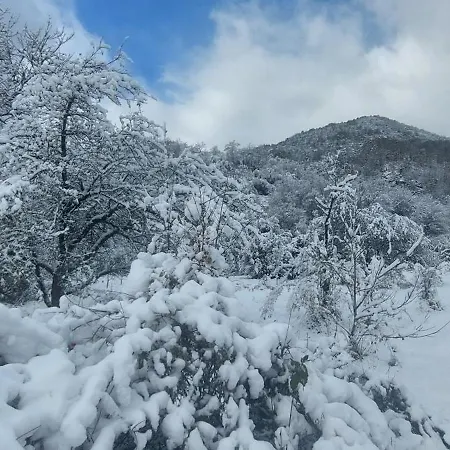 Golemi Kamik Vlasi 4 דירה