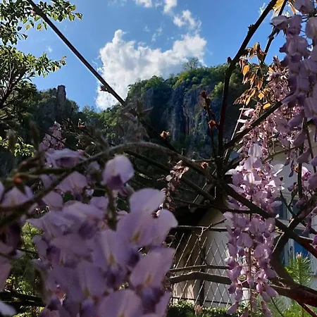 Golemi Kamik Vlasi 4 * פירוט