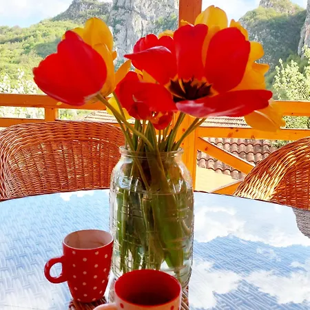 Golemi Kamik Vlasi 4 * Pirot