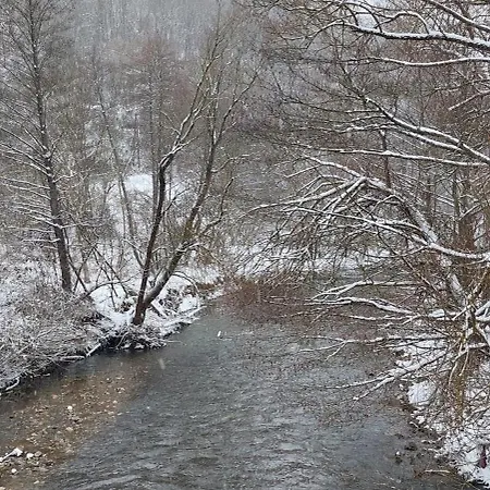 דירה Golemi Kamik Vlasi 4 *