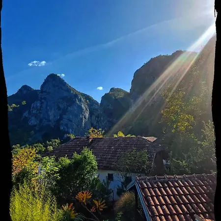 Golemi Kamik Vlasi 4 פירוט