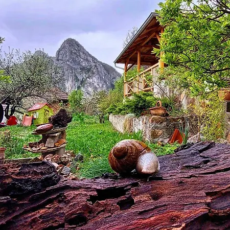 Golemi Kamik Vlasi 4 Pirot