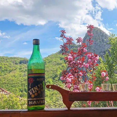 Apartmán Golemi Kamik Vlasi 4 *