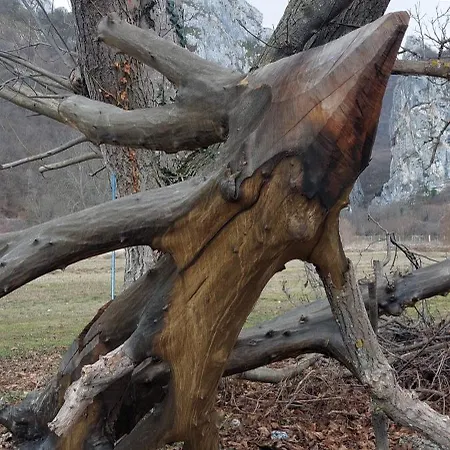 Golemi Kamik Vlasi 4 *