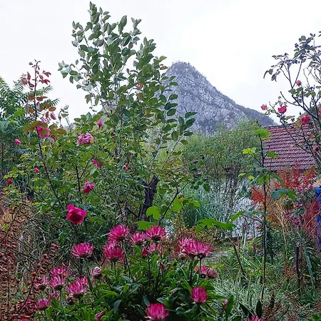 Golemi Kamik Vlasi 4