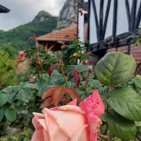 Golemi Kamik Vlasi 4