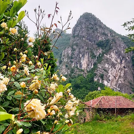 דירה Golemi Kamik Vlasi 4 *