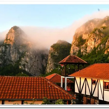 Golemi Kamik Vlasi 4 דירה