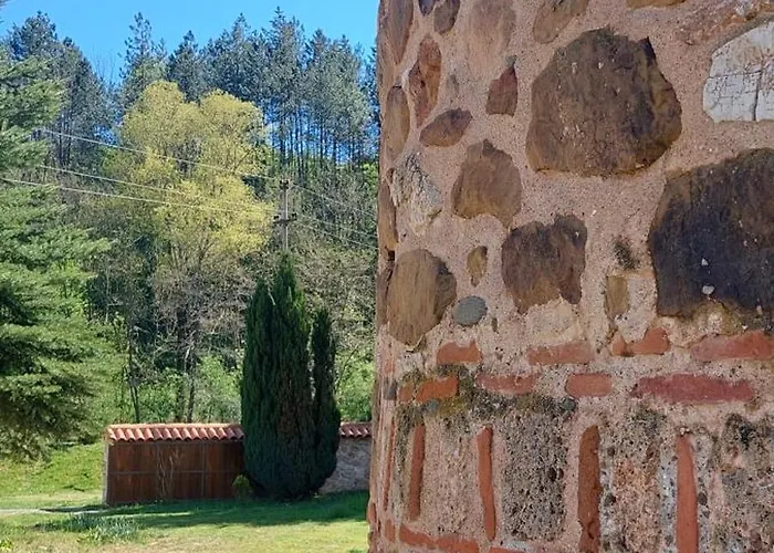 Golemi Kamik Vlasi 4 Пирот