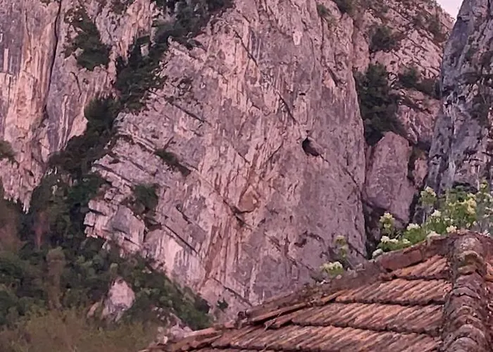 Golemi Kamik Vlasi 4 Апартаменты