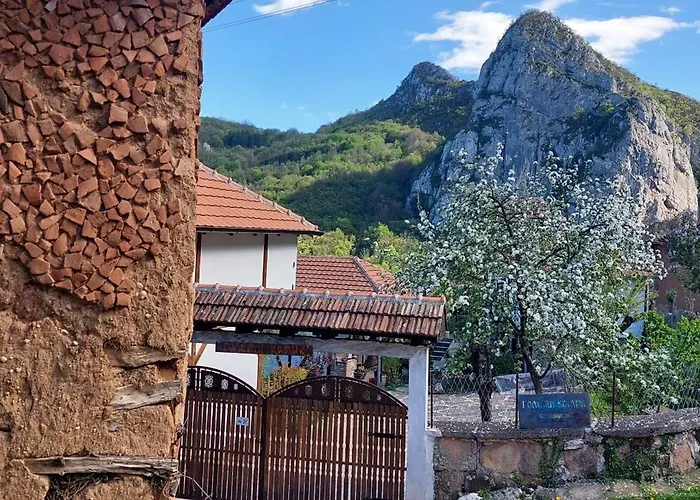 Golemi Kamik Vlasi 4 * Пирот