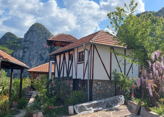 Golemi Kamik Vlasi 4 Апартаменты