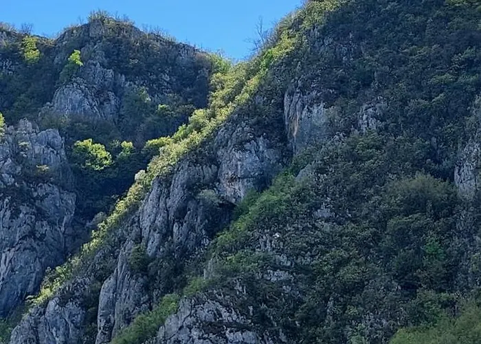 Golemi Kamik Vlasi 4 *