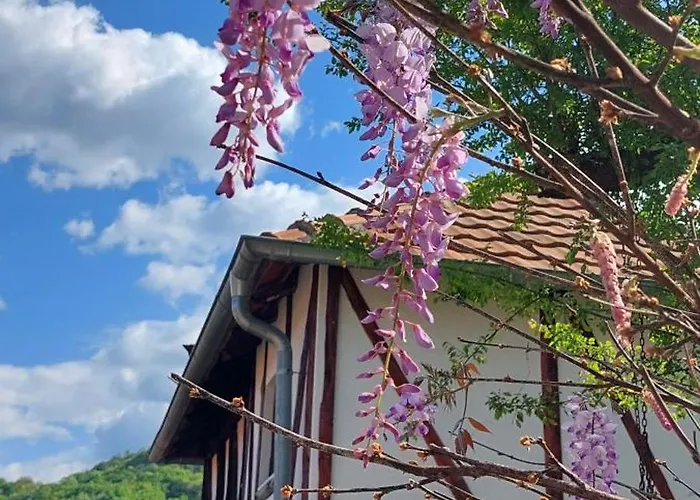 Golemi Kamik Vlasi 4 Апартаменты *