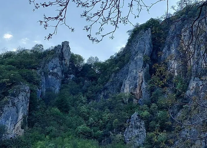 Апартаменты Golemi Kamik Vlasi 4