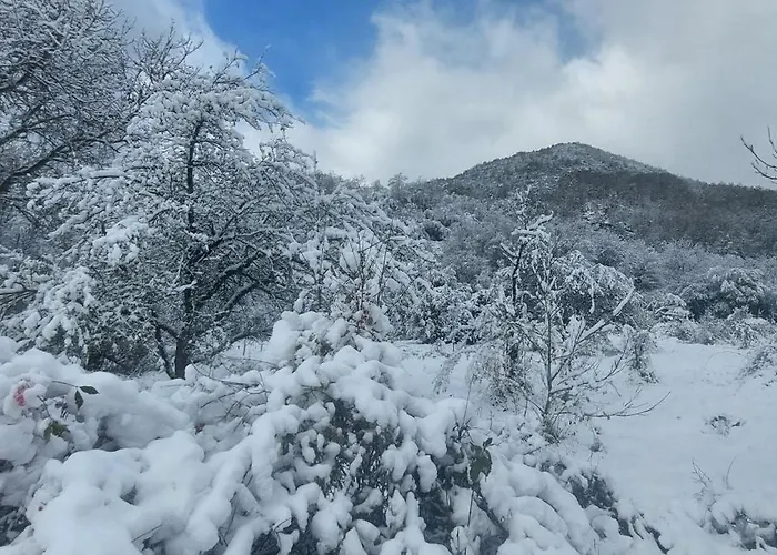 Golemi Kamik Vlasi 4 Апартаменты