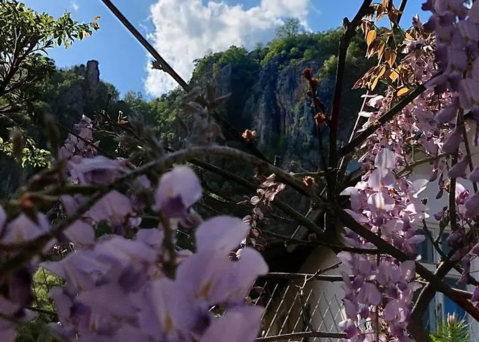 Golemi Kamik Vlasi 4 * Пирот