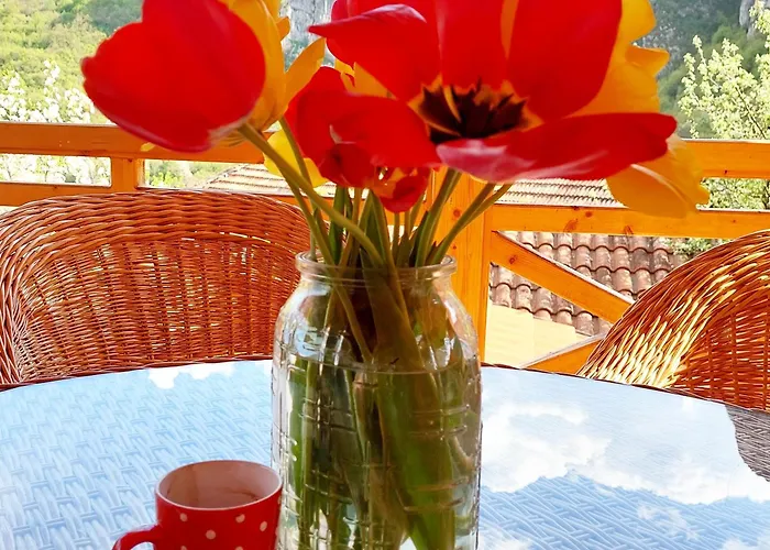 Golemi Kamik Vlasi 4 * Пирот