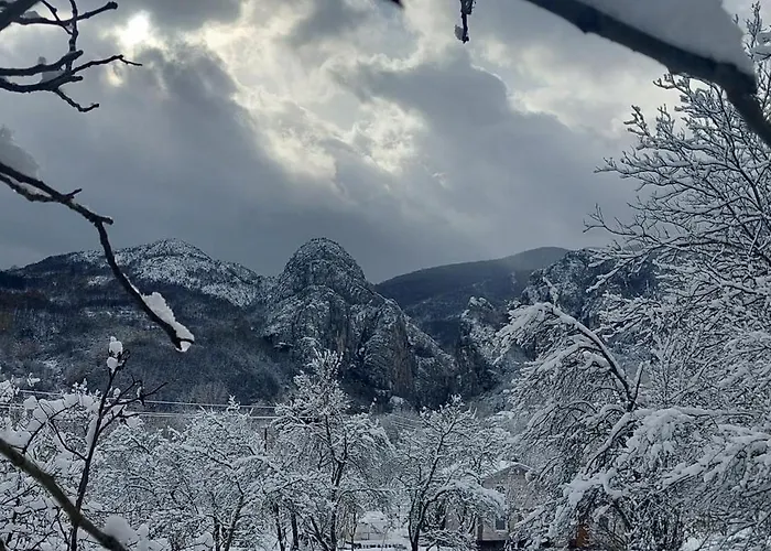 Апартаменты Golemi Kamik Vlasi 4 *