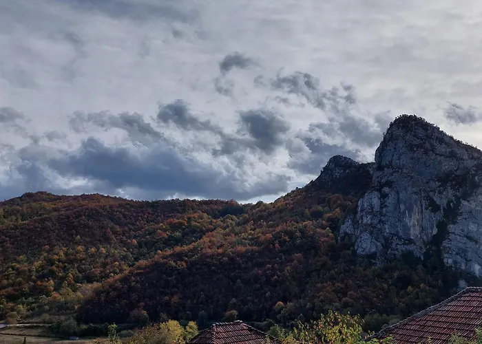 Golemi Kamik Vlasi 4 Апартаменты *