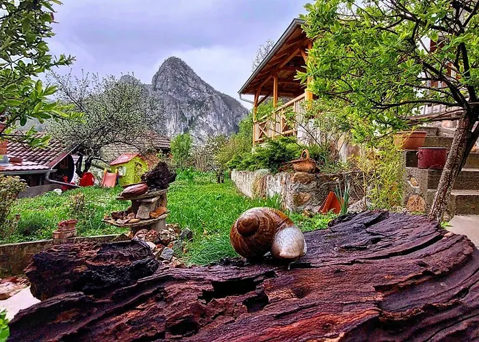 Golemi Kamik Vlasi 4 Пирот