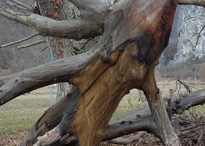 Golemi Kamik Vlasi 4 *