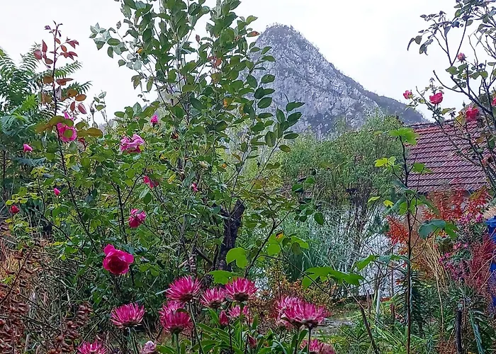 Golemi Kamik Vlasi 4