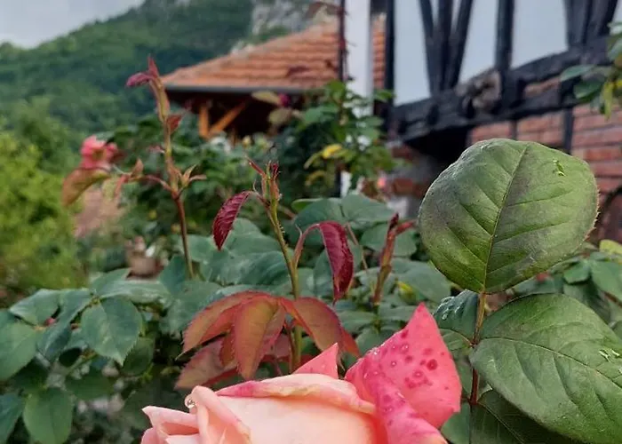 Golemi Kamik Vlasi 4