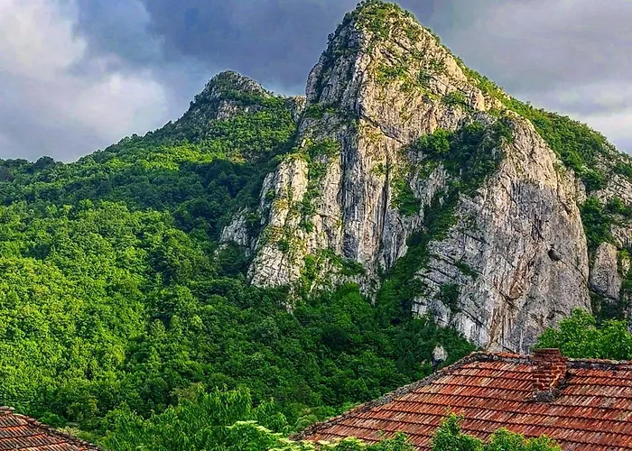 Апартаменты Golemi Kamik Vlasi 4