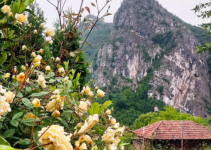 Апартаменты Golemi Kamik Vlasi 4 *