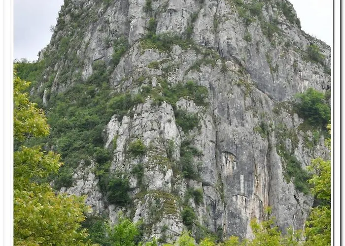 Апартаменты Golemi Kamik Vlasi 4